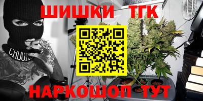 дурь Бердск