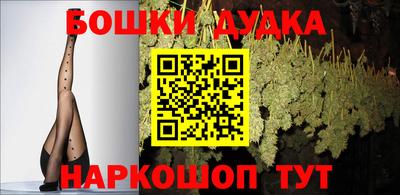 дурь Бердск