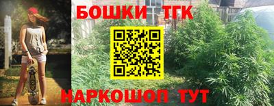 дурь Бердск